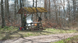 Kyf_Berglauf_22__1