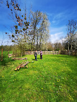 Burgentag_2023__17