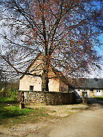 Burgentag_2023__33