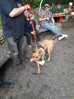 Funkertreffen_2024__19