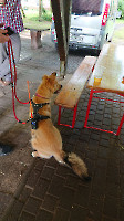 Funkertreffen_2024__2