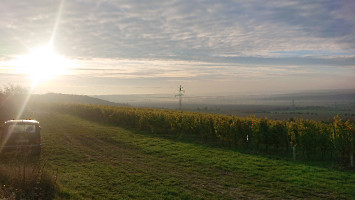 WAG_2024__3