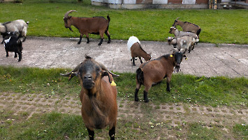 WAG_Contest_2025__22