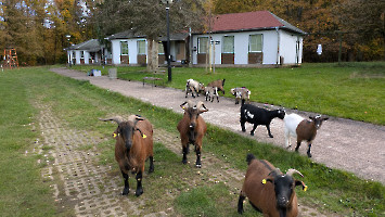 WAG_Contest_2025__23