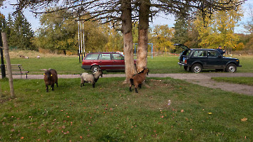 WAG_Contest_2025__24