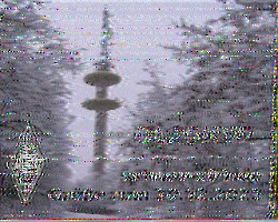 DL5ANS_6