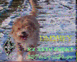 DL5BK_KW_1